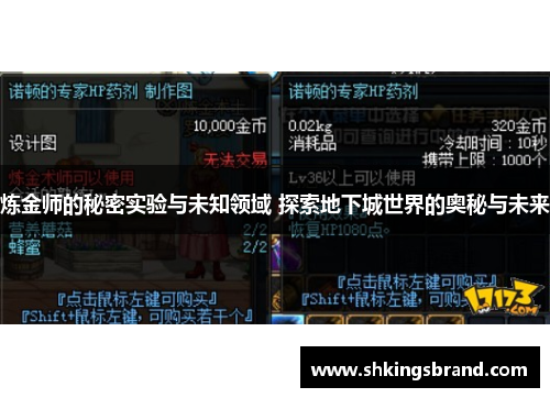 炼金师的秘密实验与未知领域 探索地下城世界的奥秘与未来