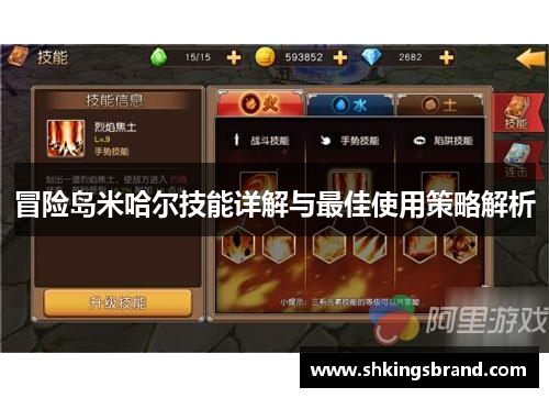 冒险岛米哈尔技能详解与最佳使用策略解析