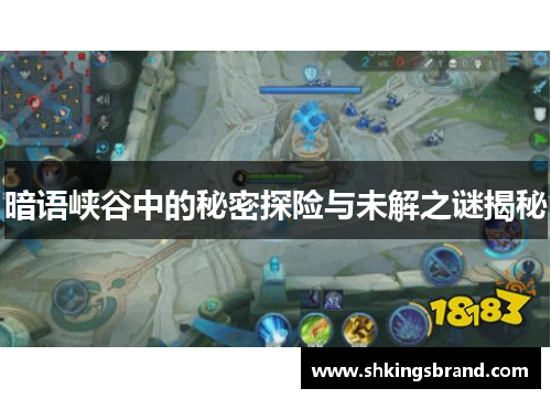暗语峡谷中的秘密探险与未解之谜揭秘